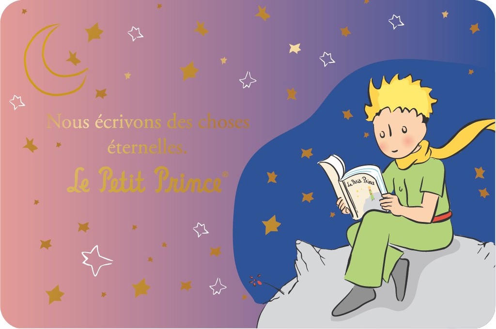 CARTE SIMPLE LE PETIT PRINCE 10 X 15 H 