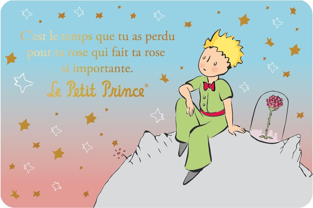 CARTE SIMPLE LE PETIT PRINCE 10 X 15 H 