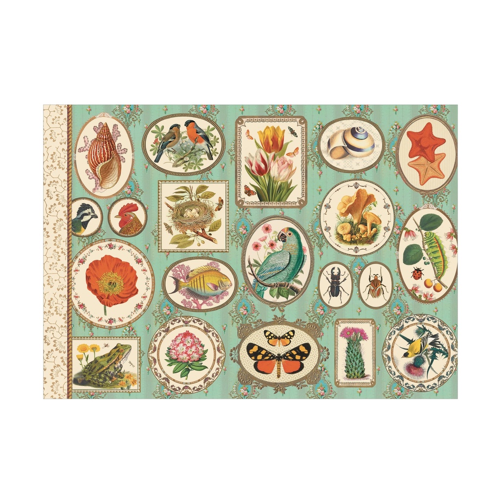 CAHIER ILLUSTRE 48 PAGES 21 X 15 CM - NATURALISTE