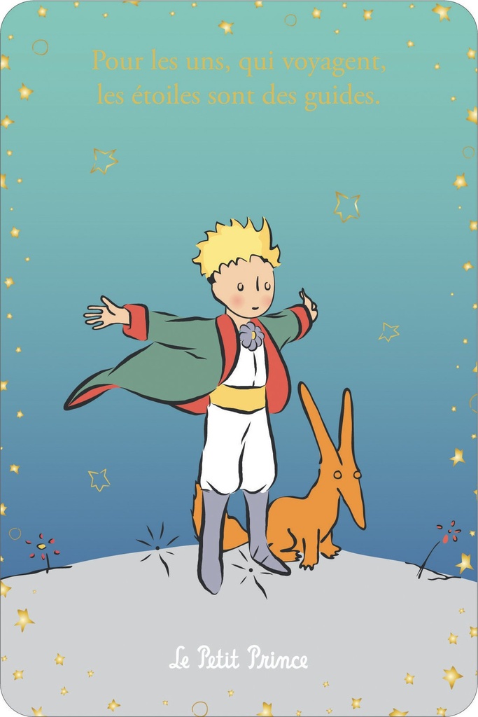 CARTE SIMPLE LE PETIT PRINCE 10 X 15 V DEGRADE