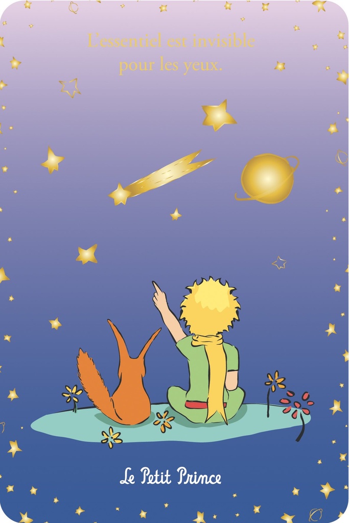 CARTE SIMPLE LE PETIT PRINCE 10 X 15 V DEGRADE
