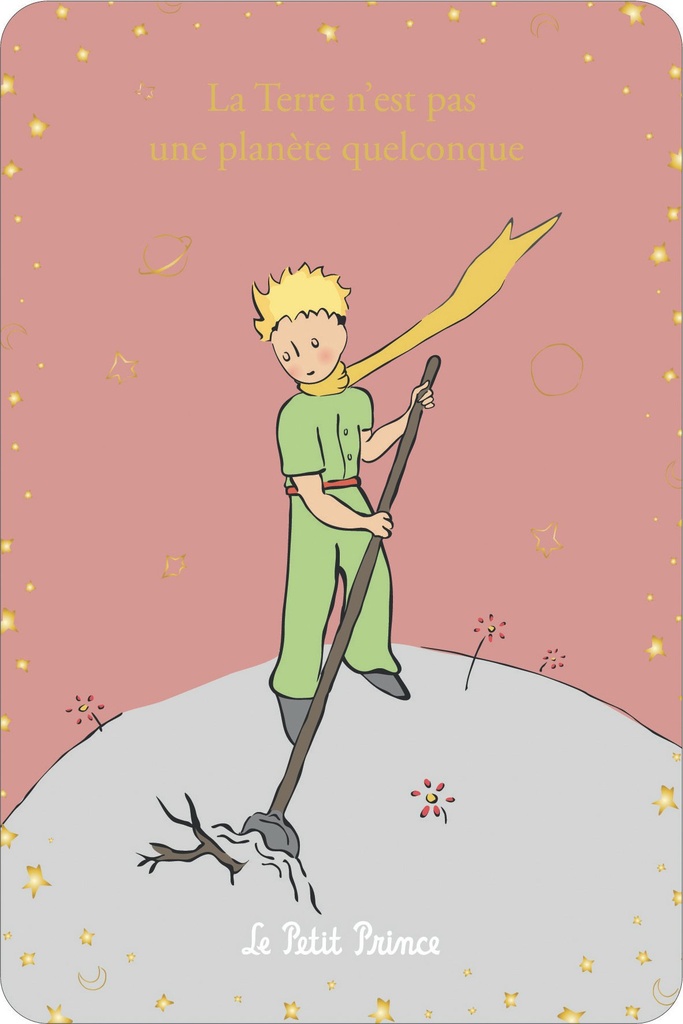 CARTE SIMPLE LE PETIT PRINCE 10 X 15 V CLASSIQUE