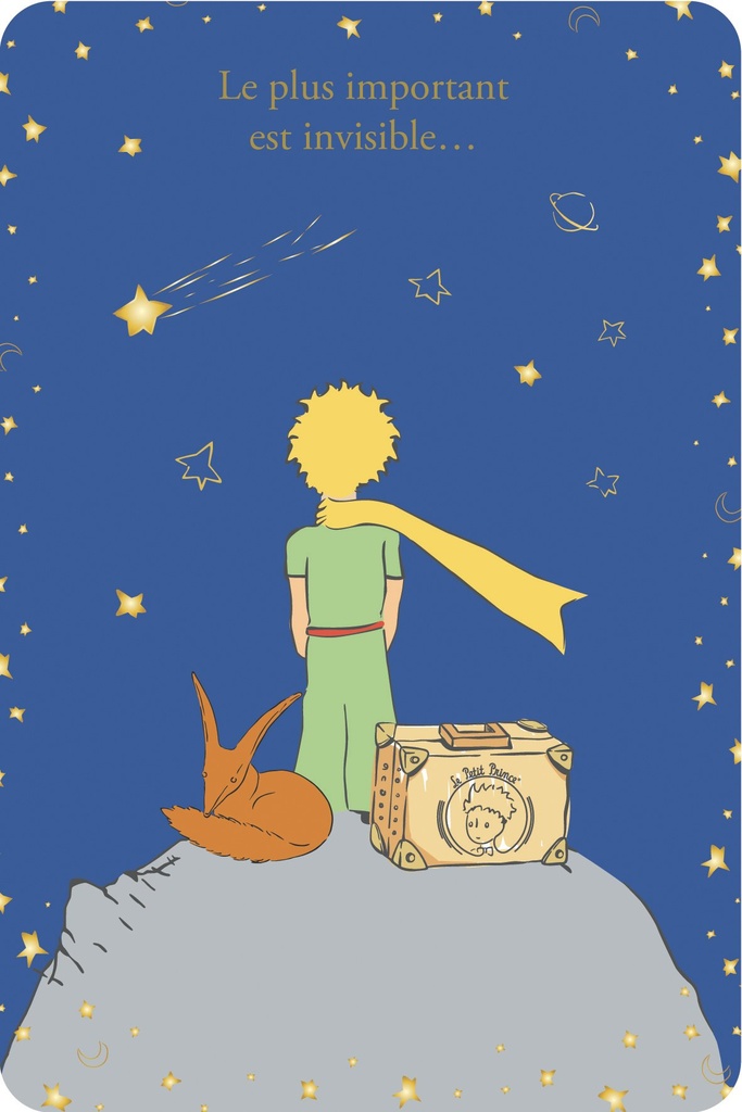 CARTE SIMPLE LE PETIT PRINCE 10 X 15 V CLASSIQUE