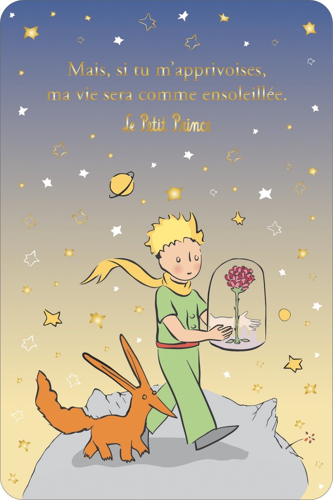 CARTE SIMPLE LE PETIT PRINCE 10 X 15 V DEGRADE