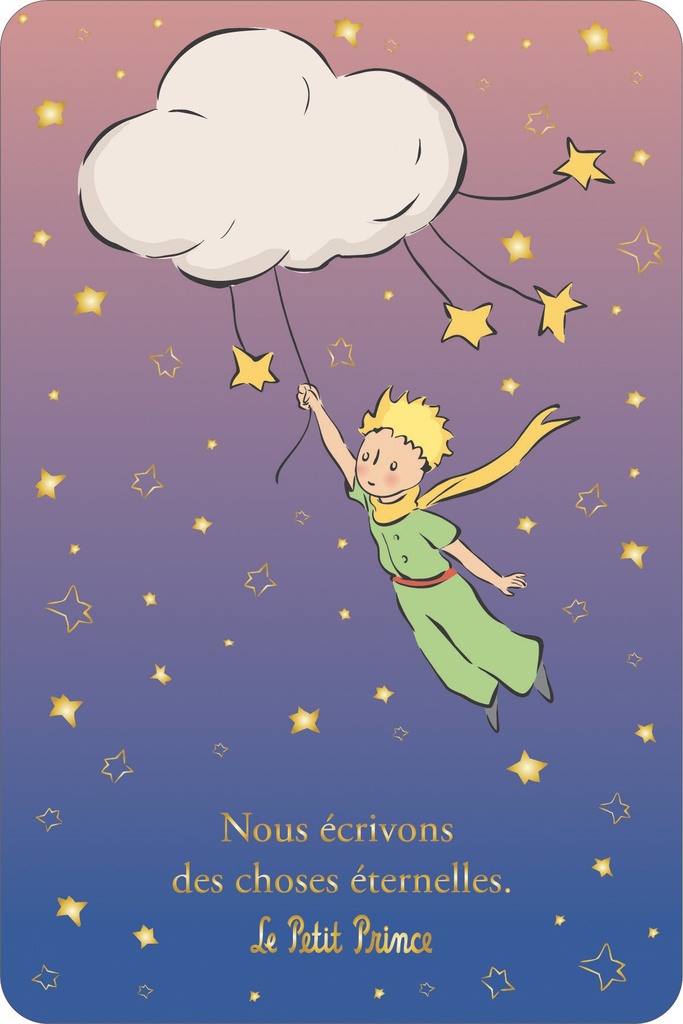 CARTE SIMPLE LE PETIT PRINCE 10 X 15 V DEGRADE