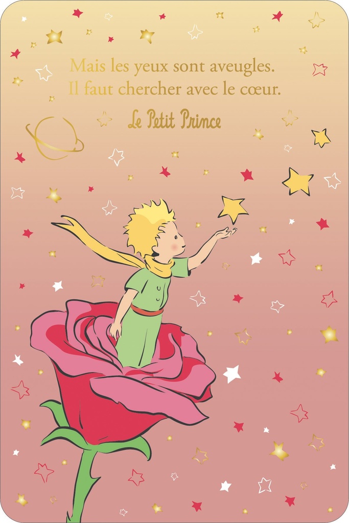 CARTE SIMPLE LE PETIT PRINCE 10 X 15 V DEGRADE