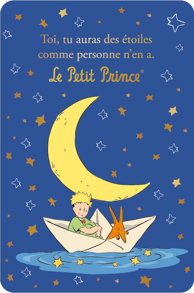 CARTE SIMPLE LE PETIT PRINCE 10 X 15 V