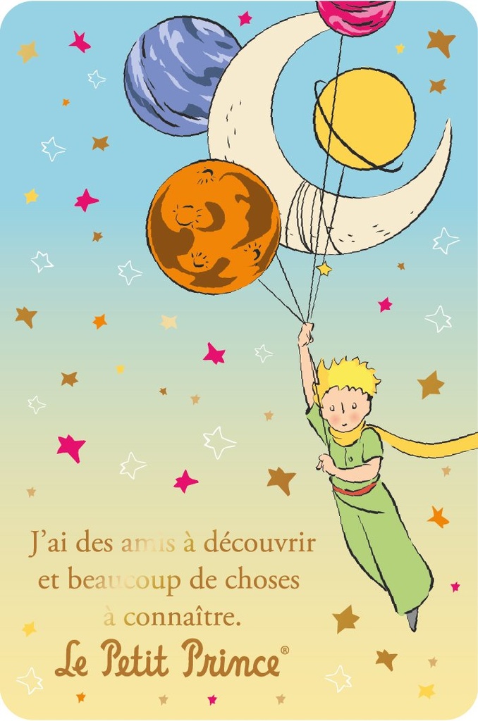 CARTE SIMPLE LE PETIT PRINCE 10 X 15 V