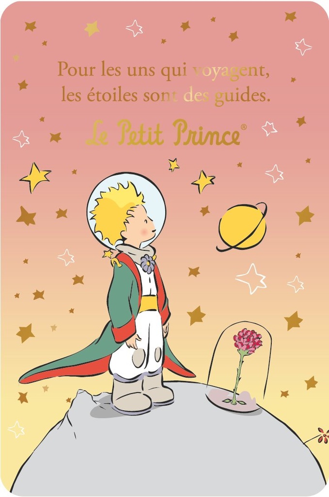 CARTE SIMPLE LE PETIT PRINCE 10 X 15 V