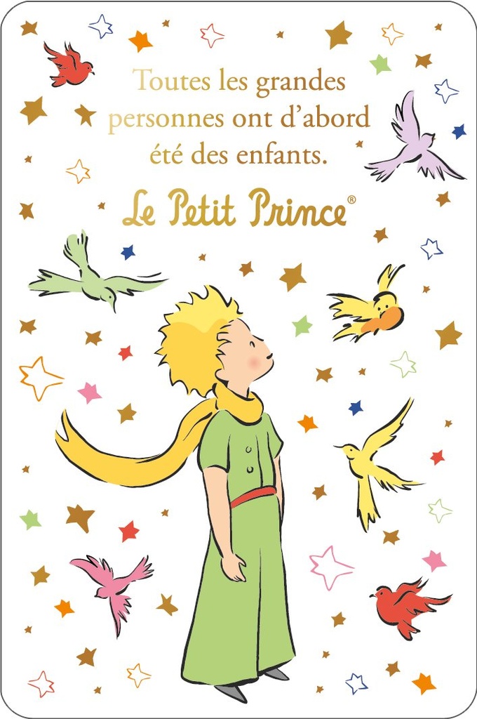 CARTE SIMPLE LE PETIT PRINCE 10 X 15 V