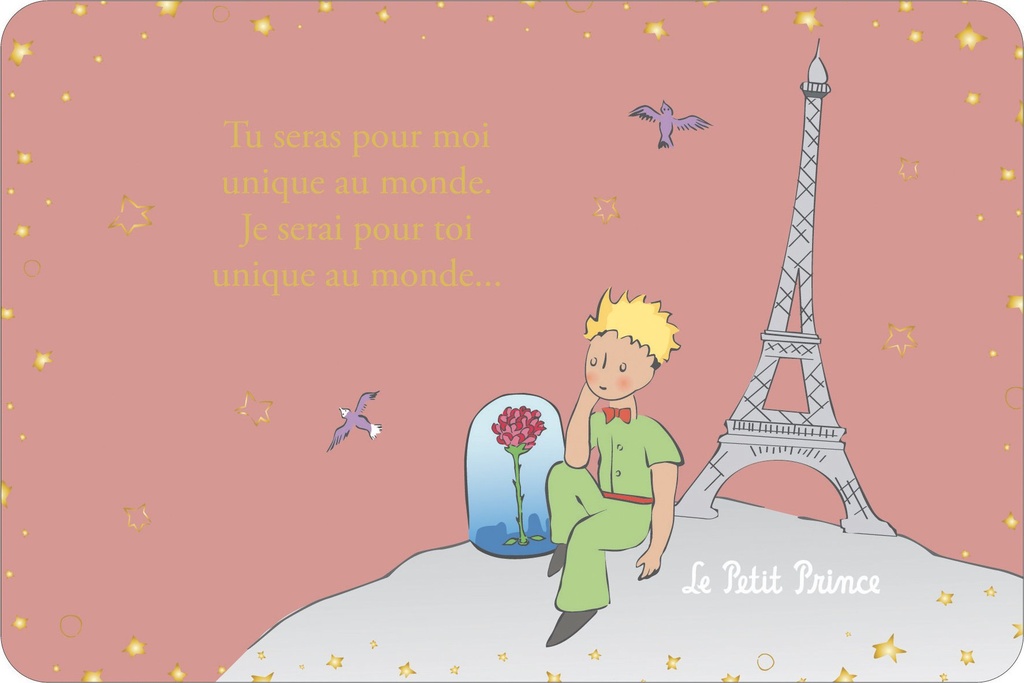 CARTE SIMPLE LE PETIT PRINCE A PARIS 10 X 15 H