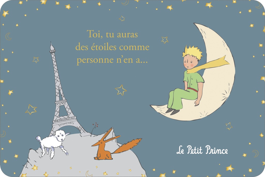 CARTE SIMPLE LE PETIT PRINCE A PARIS 10 X 15 H