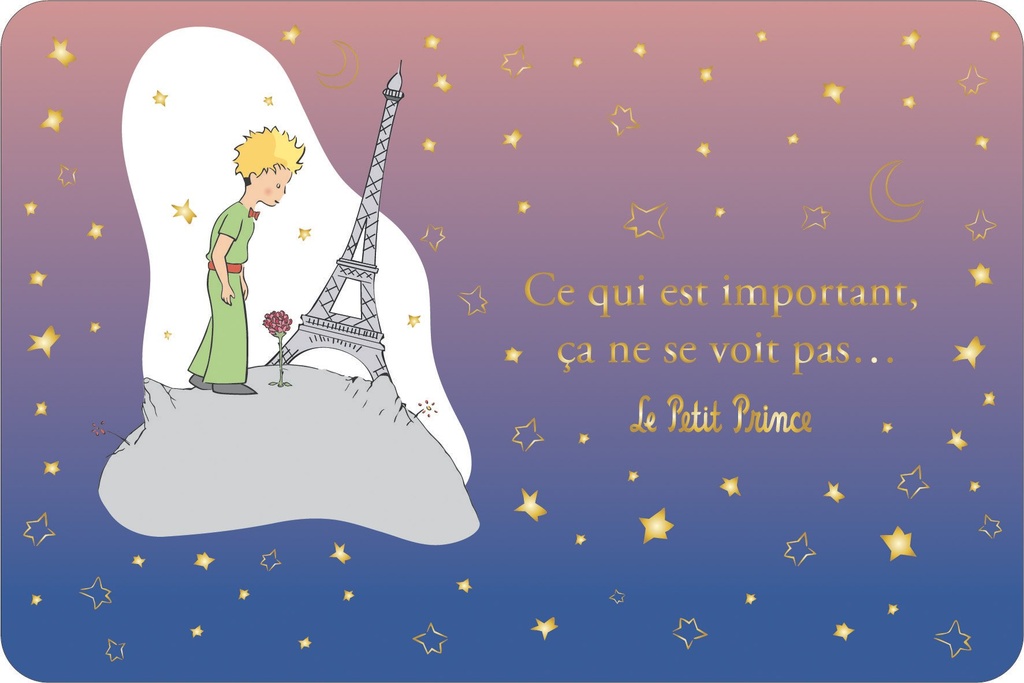 CARTE SIMPLE LE PETIT PRINCE A PARIS 10 X 15 H