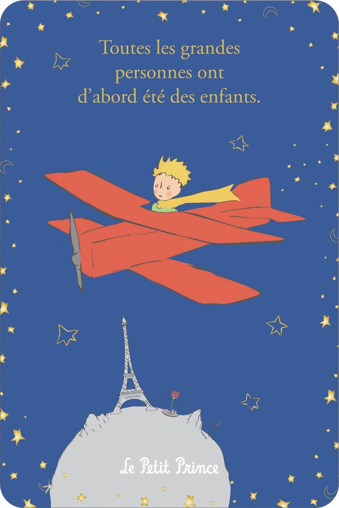 CARTE SIMPLE LE PETIT PRINCE A PARIS 10 X 15 V