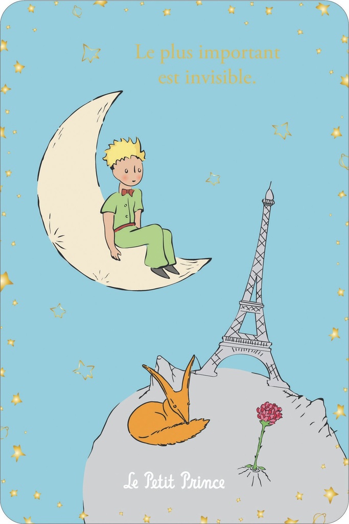 CARTE SIMPLE LE PETIT PRINCE A PARIS 10 X 15 V