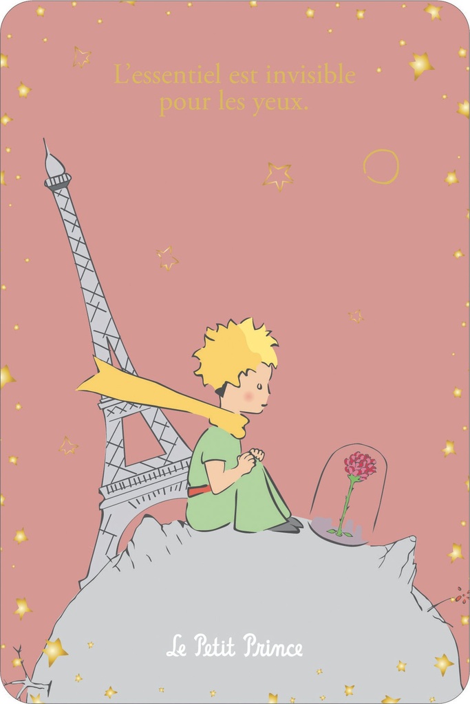 CARTE SIMPLE LE PETIT PRINCE A PARIS 10 X 15 V