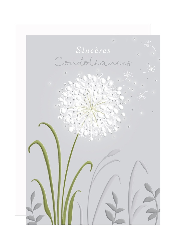 CARTE DOUBLE CONDOLEANCES