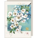 CARTE DOUBLE BACO81 - BUG ART - B058