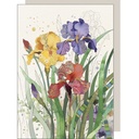 CARTE DOUBLE BACO83 - BUG ART - B060