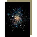 CARTE DOUBLE BAJE90 - M186 - BUG ART