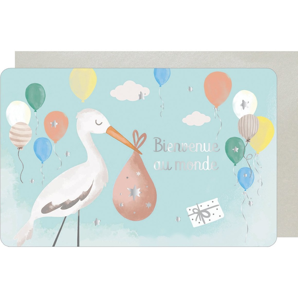 CARTE DOUBLE DES PLUMES ET DES FLEURS NAISSANCE