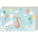 CARTE DOUBLE DES PLUMES ET DES FLEURS NAISSANCE