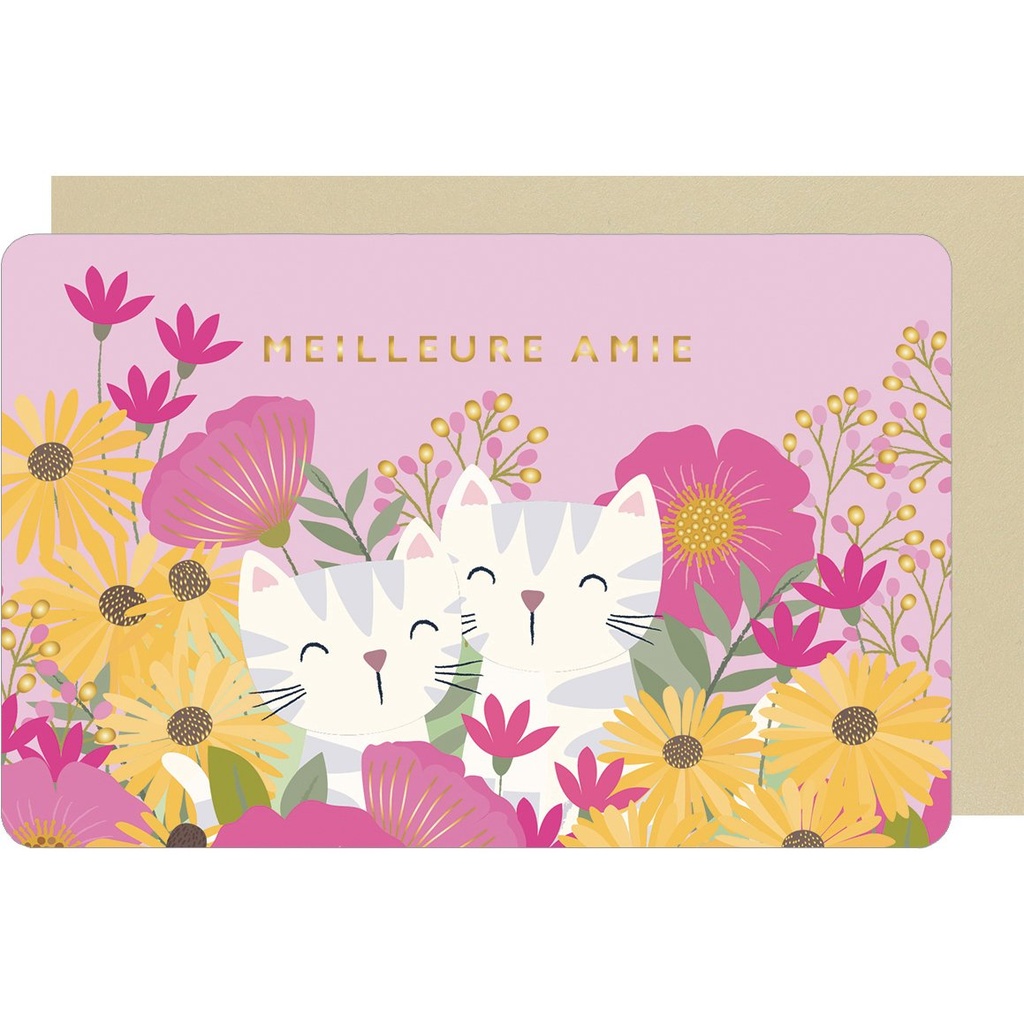CARTE DOUBLE DES PLUMES ET DES FLEURS AMITIE
