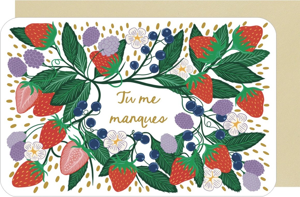 CARTE DOUBLE DES PLUMES ET DES FLEURS H AMITIE