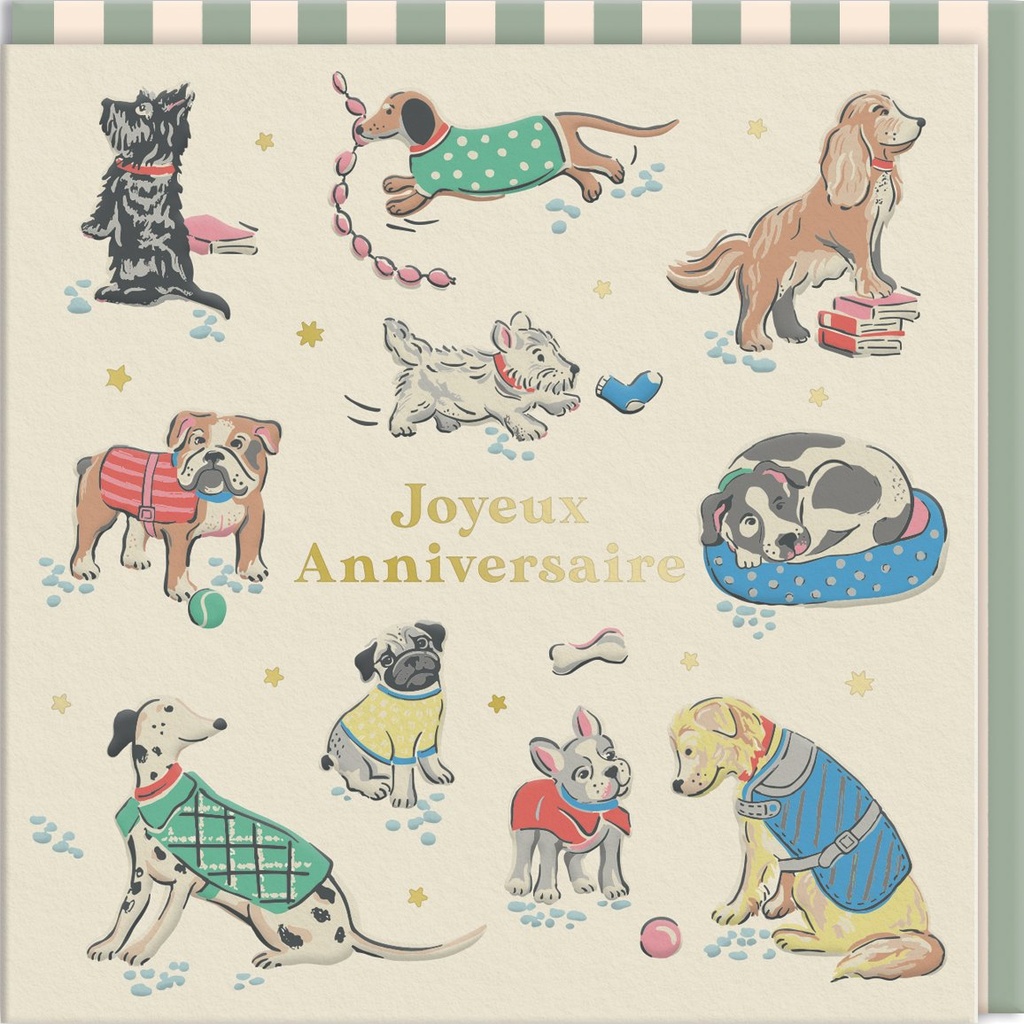 CARTE DOUBLE CATH KIDSTON 10.5 X 10.5 - CHIENS