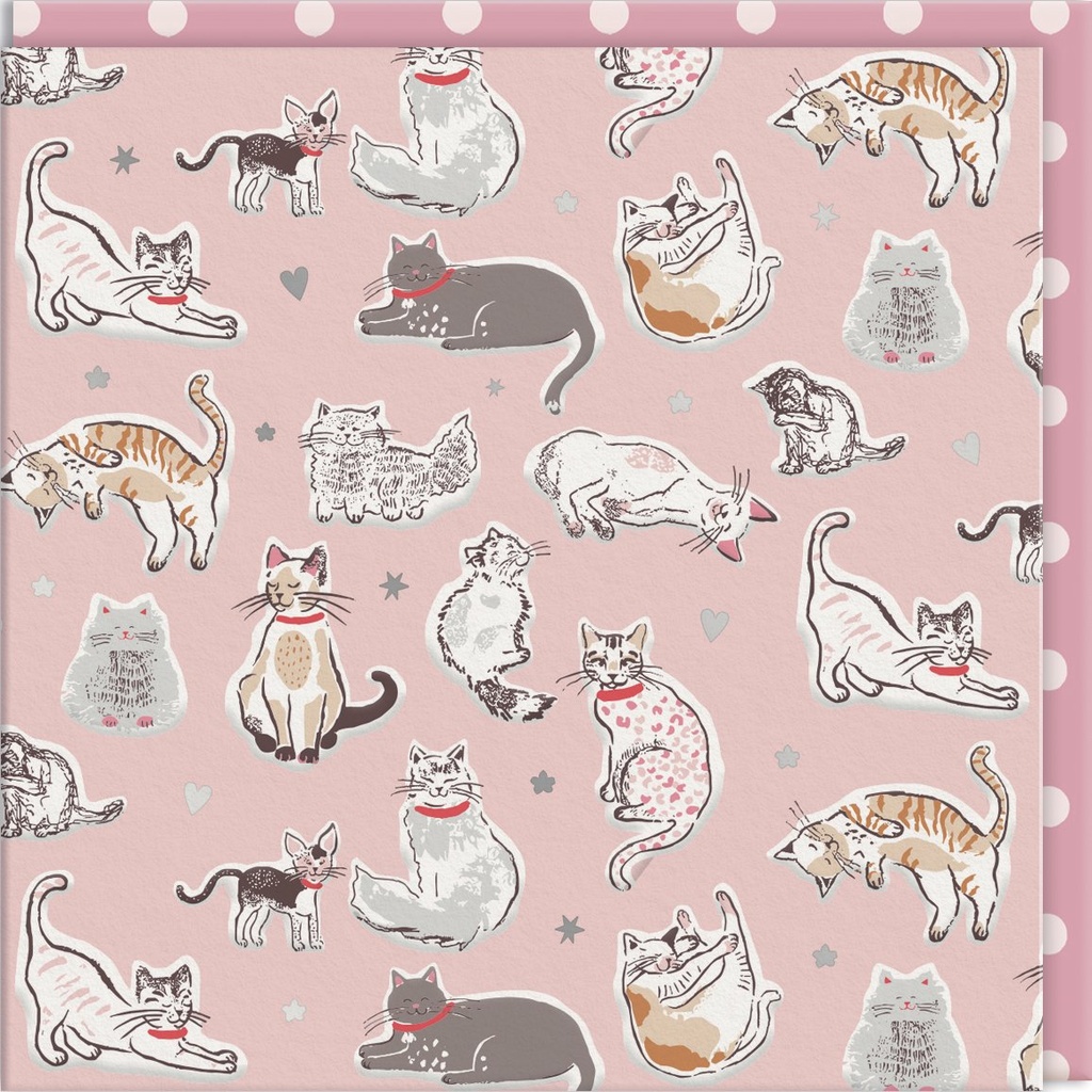 CARTE DOUBLE CATH KIDSTON 10.5 X 10.5 - CHATS