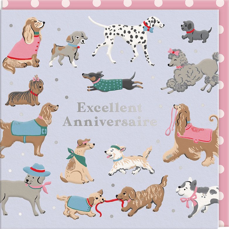 CARTE DOUBLE CATH KIDSTON 10.5 X 10.5 - ANNIVERSAIRE CHIEN