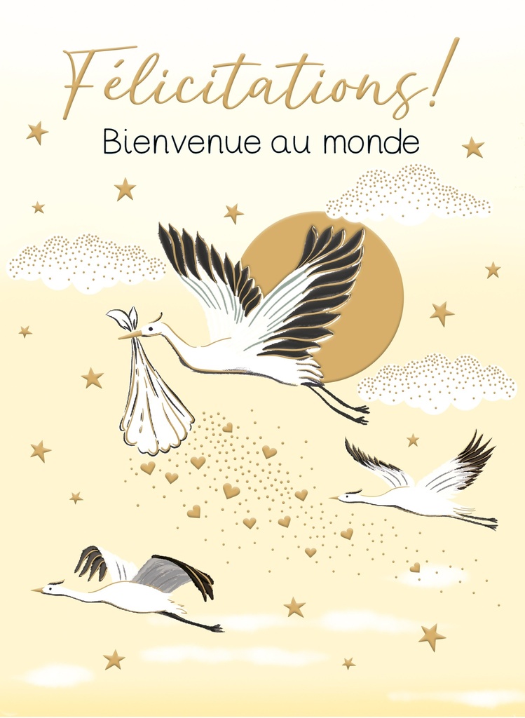CARTE DOUBLE MAXI CARTES ROSANNA ROSSI