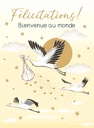 CARTE DOUBLE MAXI CARTES ROSANNA ROSSI