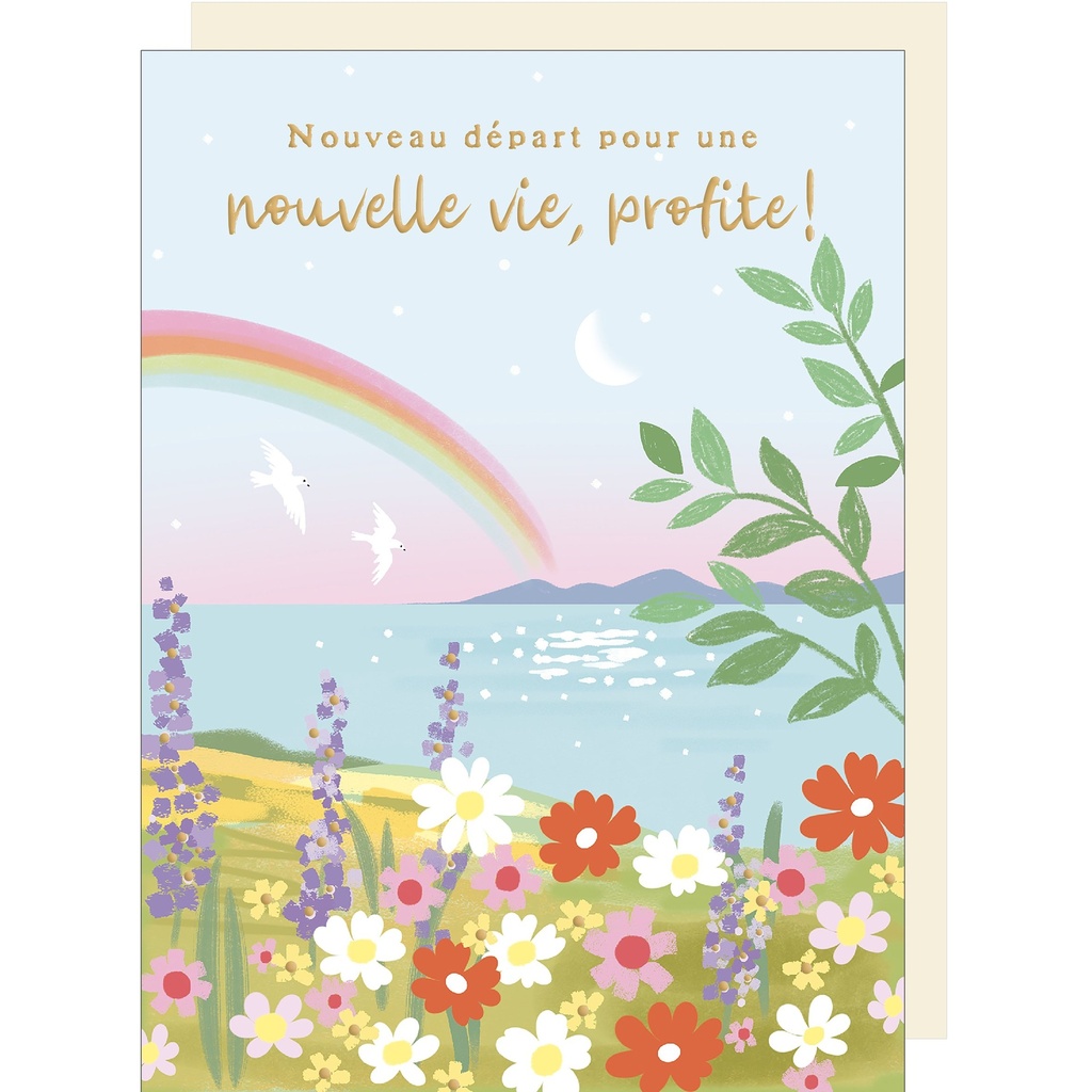 CARTE DOUBLE MAXI CARTES ROSANNA ROSSI