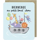 CARTE DOUBLE ODYSSEE