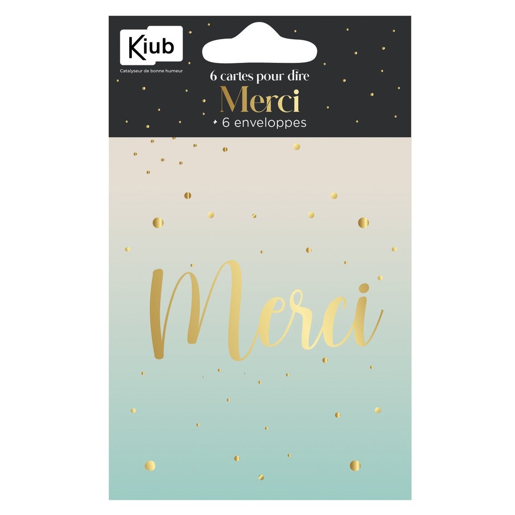 PACK CARTES ET ENV X 6 MERCI