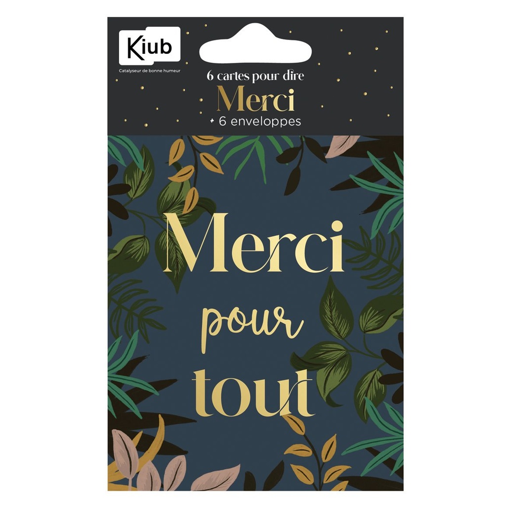 PACK CARTES ET ENV X 6 MERCI