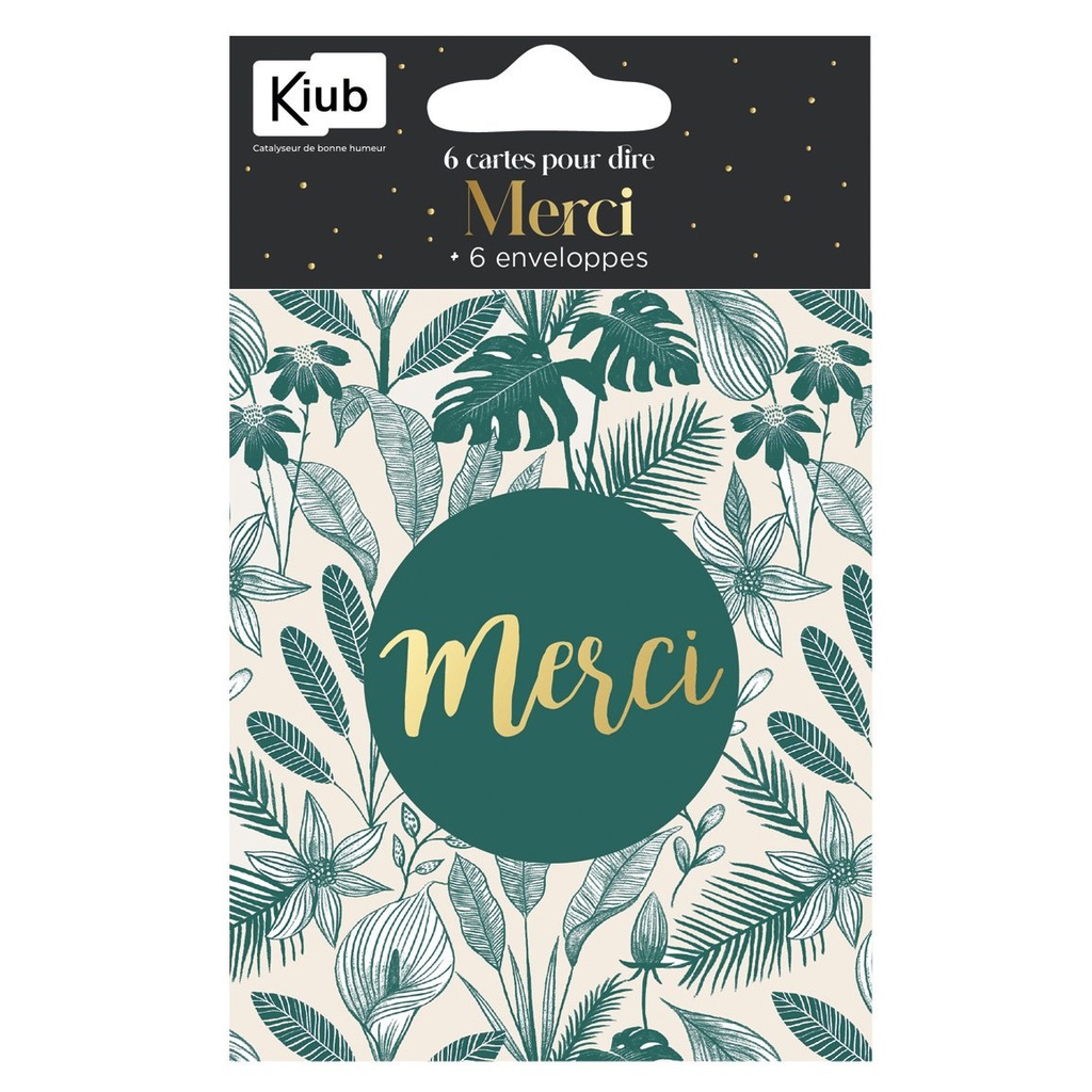 PACK CARTES ET ENV X 6 MERCI
