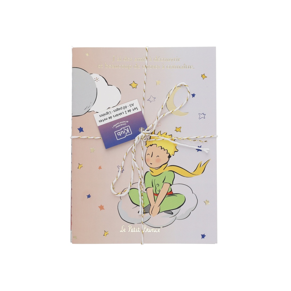 SET DE 2 CARNETS A5 AVEC FICELLE LE PETIT PRINCE BLEU / BLANC