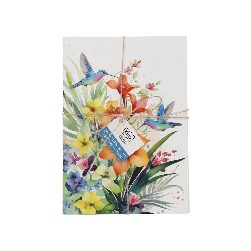SET DE 2 CARNETS A5 AVEC FICELLE PORTFOLIO COLIBRI + PAPILLONS