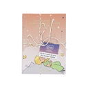 SET DE 3 CARNETS A6 AVEC FICELLE LE PETIT PRINCE DEGRADE