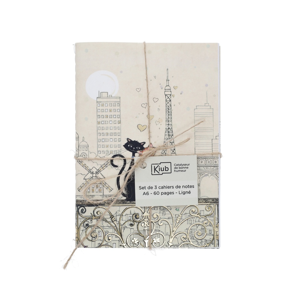 SET DE 3 CARNETS A6 AVEC FICELLE BUG ART PARIS ASSORTIS