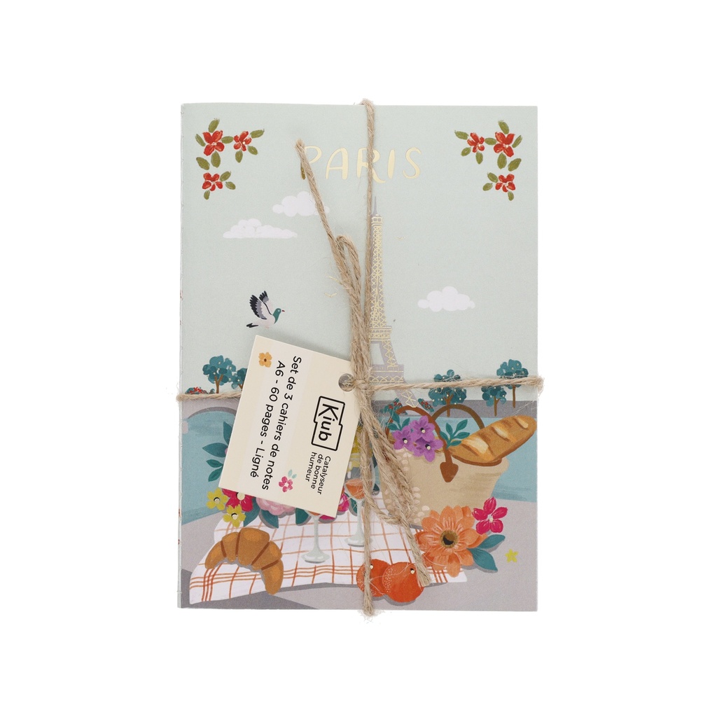 SET DE 3 CARNETS A6 AVEC FICELLE PARIS JE T ADORE ASSORTIS