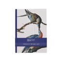 NB LIGNE A5 FERMETURE MAGNETIQUE ENCYCLOPEDIA OISEAUX BLEU