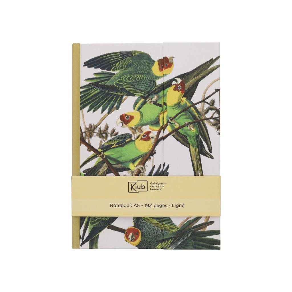 NB LIGNE A5 FERMETURE MAGNETIQUE ENCYCLOPEDIA OISEAUX JAUNE