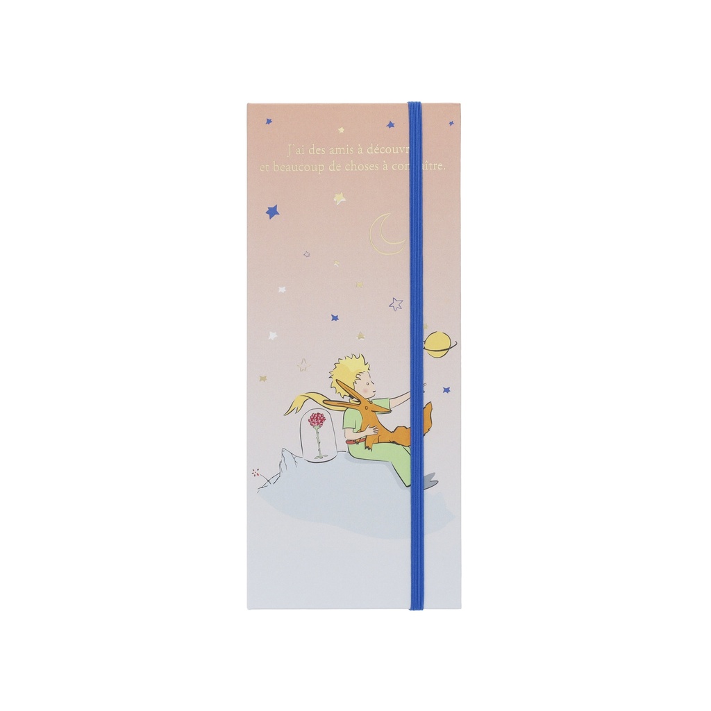 SET MEMO NOTE COUVERTURE RIGIDE LE PETIT PRINCE DEGRADE