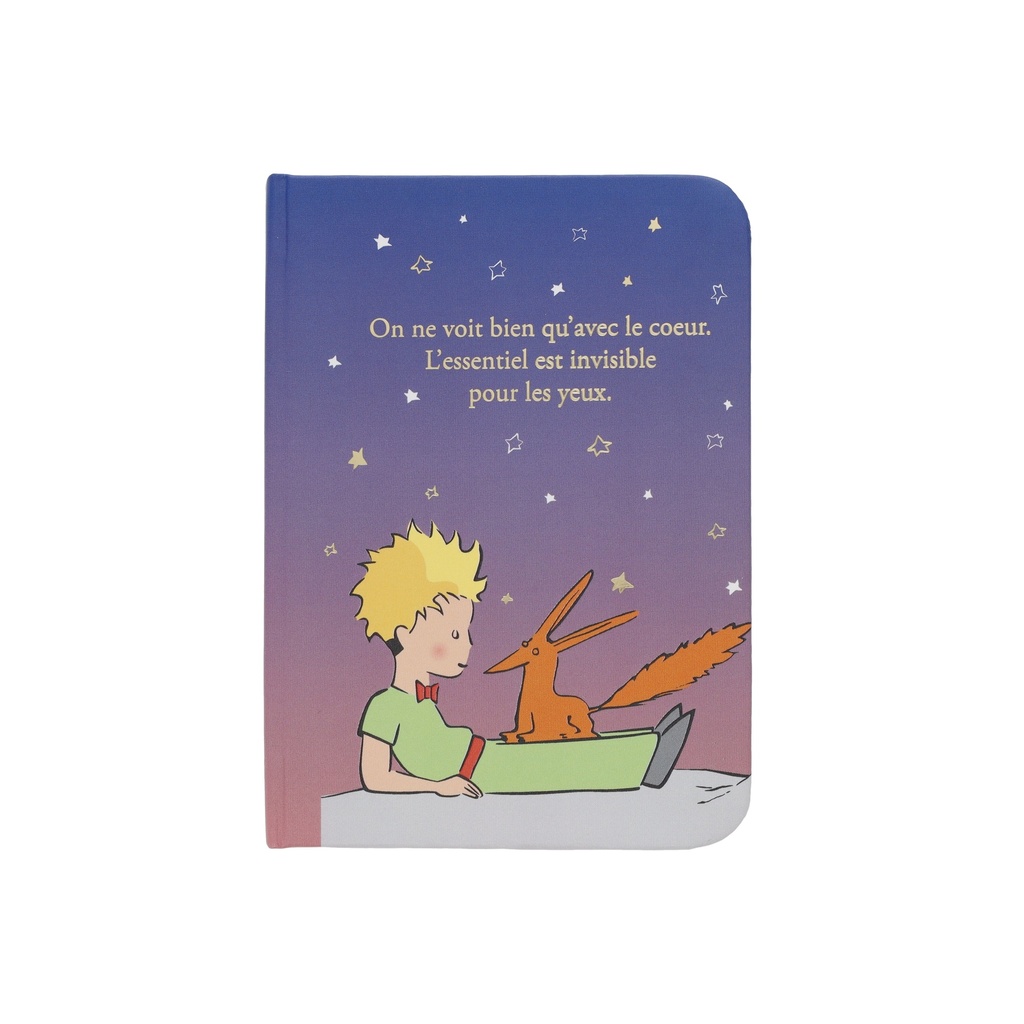 CARNET MOT DE PASSE A7 LE PETIT PRINCE DEGRADE