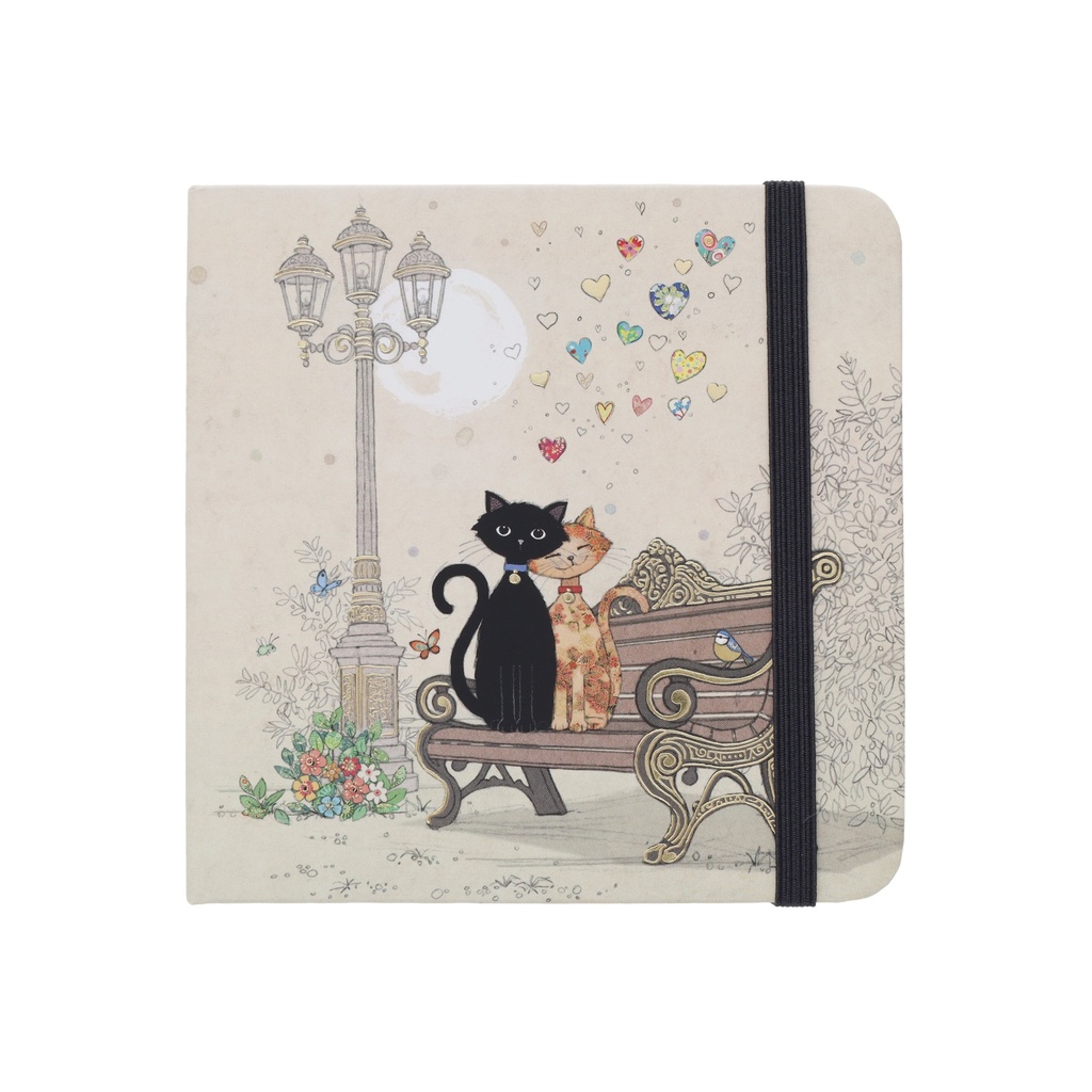 CARNET MOT DE PASSE CARRE BUG ART COUPLE DE CHATS