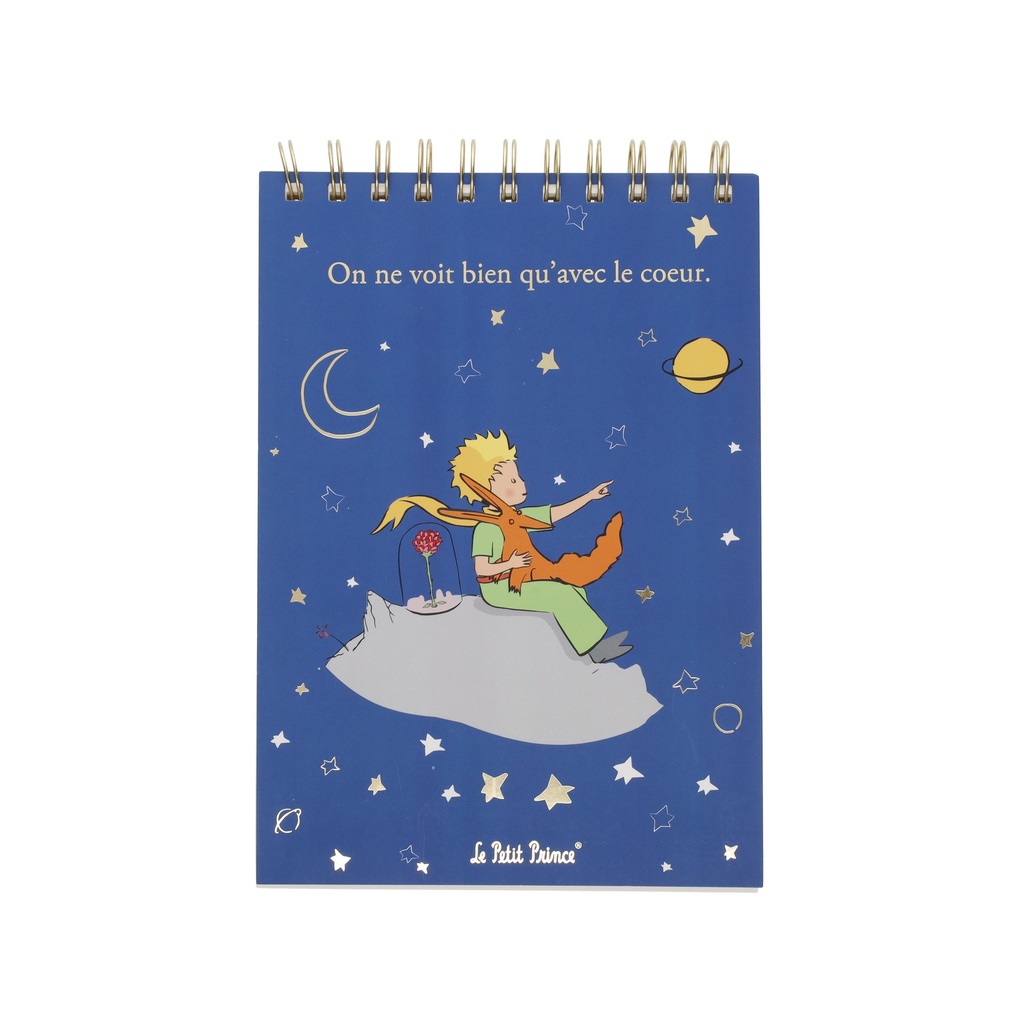 CARNET A DESSIN A5 LE PETIT PRINCE BLEU HORIZONTAL