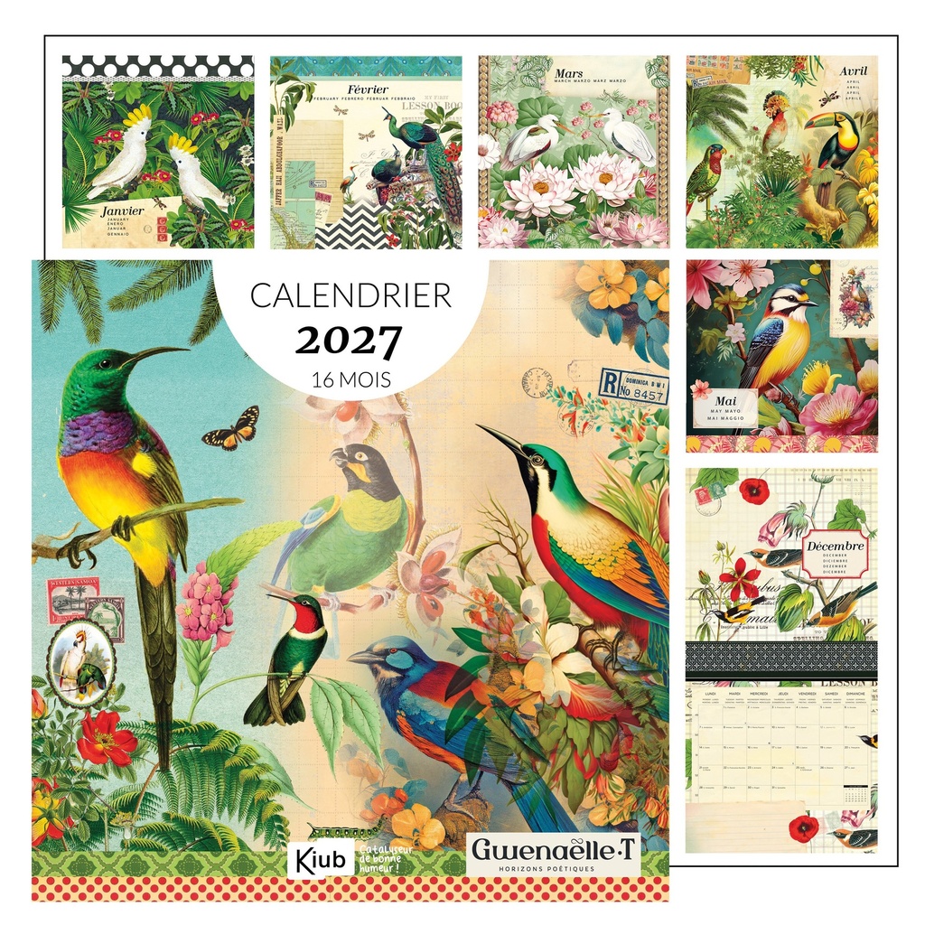 CALENDRIER CLASSIQUE 16 MOIS 2027 - GWENAELLE TROLEZ OISEAUX